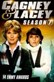 Cagney & Lacey: Season 7