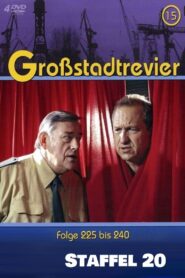 Großstadtrevier: Season 20