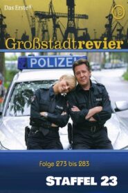 Großstadtrevier: Season 23