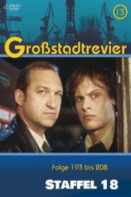 Großstadtrevier: Season 18