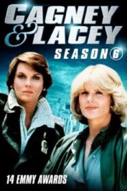 Cagney & Lacey: Season 6