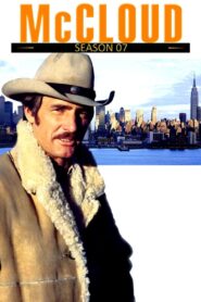 Ein Sheriff in New York: Season 7