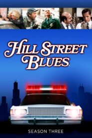 Polizeirevier Hill Street: Season 3