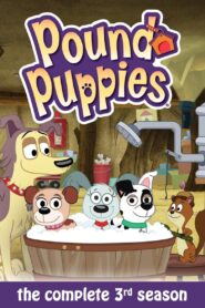 Pound Puppies – Der Pfotenclub: Season 3