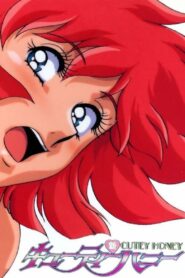 Shin Cutey Honey: Season 1