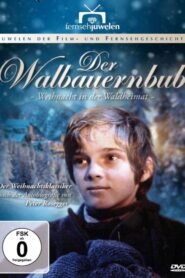 Waldheimat: Season 3