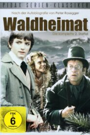 Waldheimat: Season 2