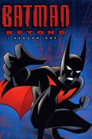 Batman of the Future: Season 1